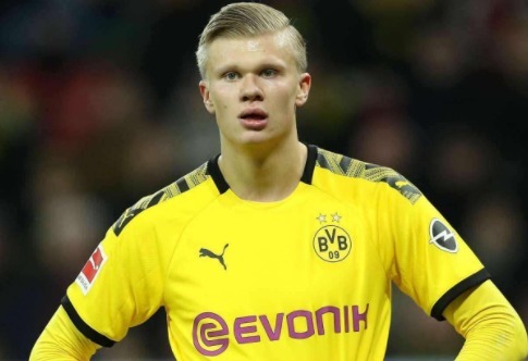 意外来客，切尔西和巴萨欧冠赛前一只狐狸闯入斯坦福桥看台（欧冠前夜趣闻：狐狸闯入斯坦福桥看台，切尔西对巴萨惊现不速之客）